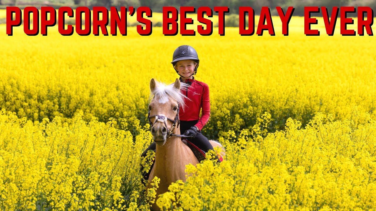 POPCORN'S BEST DAY EVER!