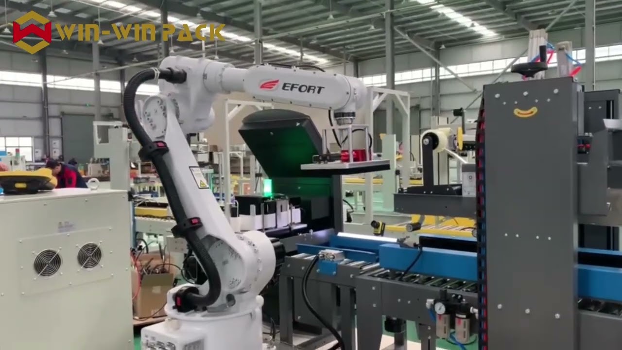 WIN-WIN PACK Automated Packaging Line with WCS Control Integration/Intelligent System-Controlled