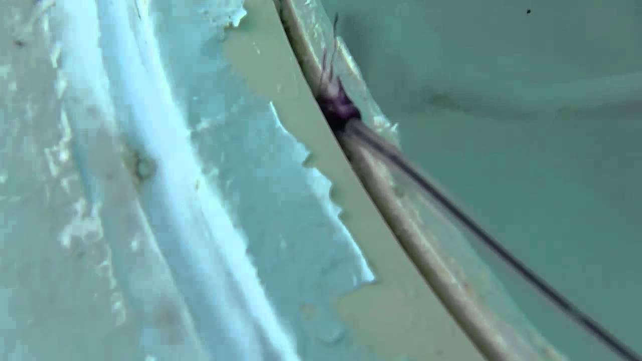 Projecteur piscine qui fuit - test au colorant