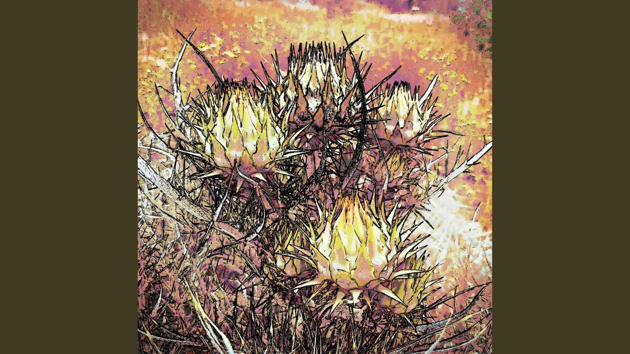 Illumination Sequence