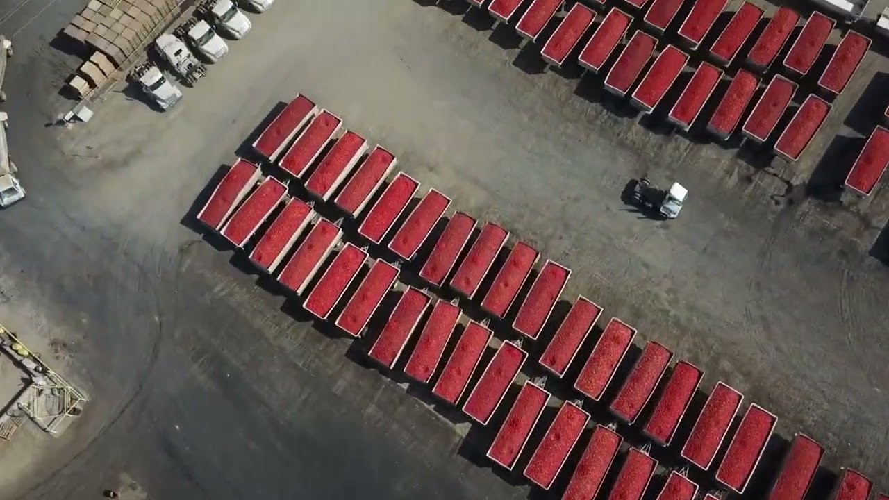 Member Highlight: Ingomar Packing Company