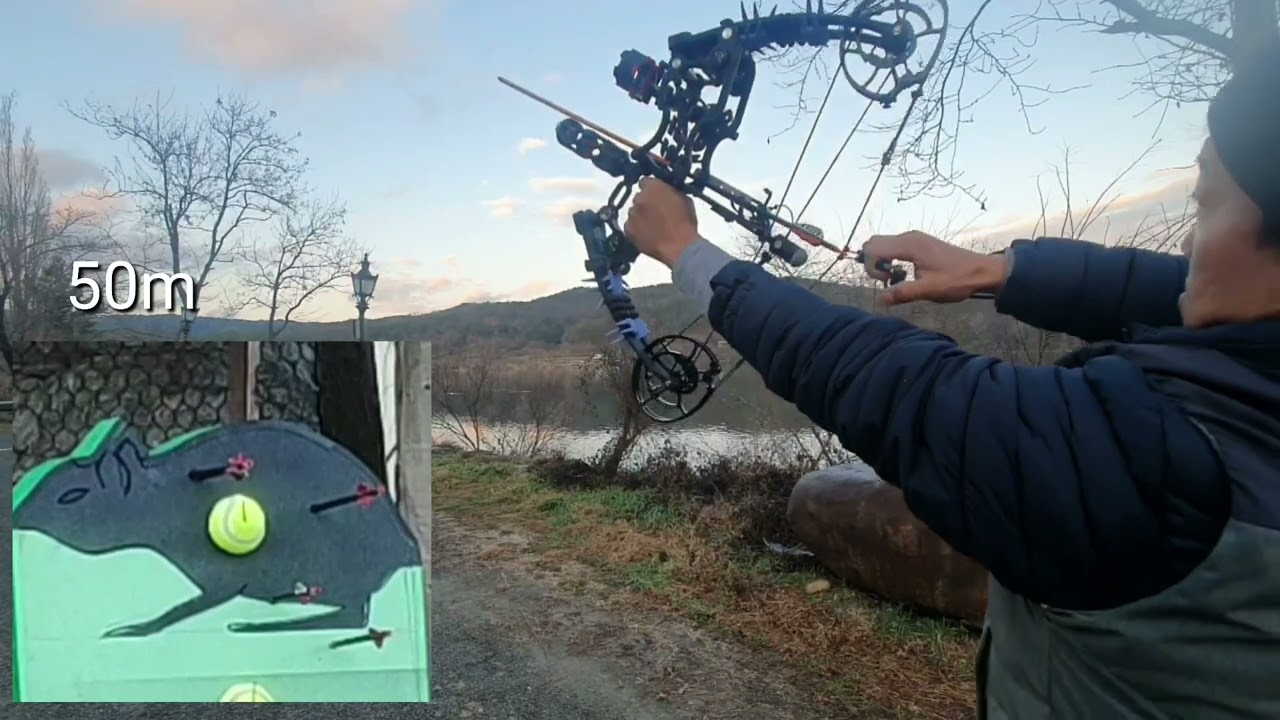 mini compoundbow & mouse 3d target.