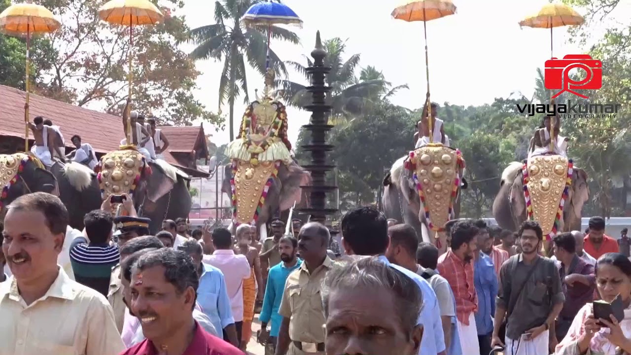 VAIKOM ASHTAMI#THIRUVAMBADY SIVASUNDAR#KERALA#CULTURE#Ulsavam#Elephant#Malayalam Travel Blog#Full HD