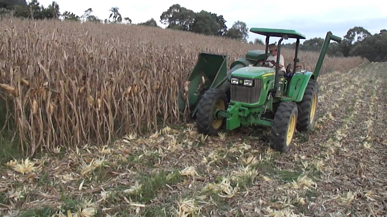 john deere5078 colhendo milho