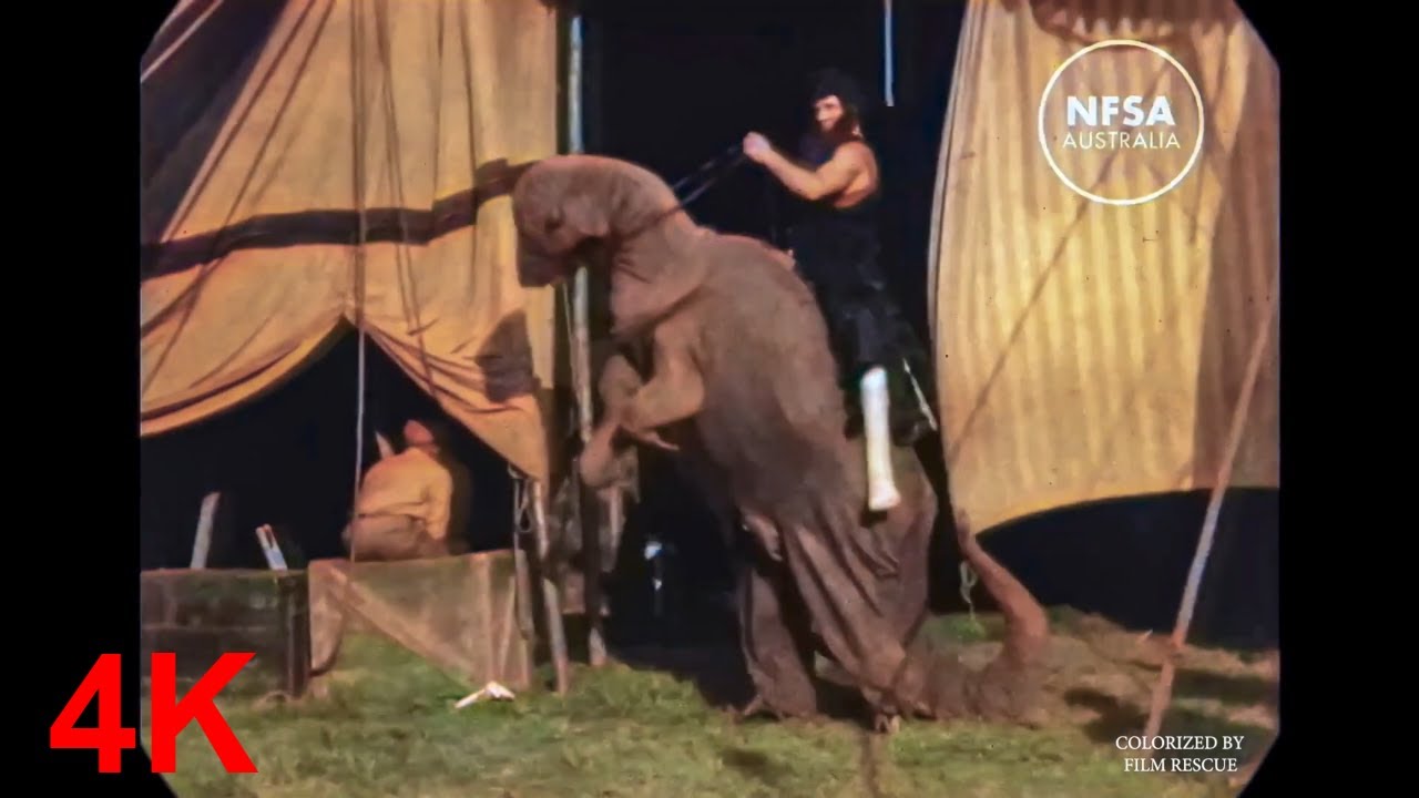 1928 Travelling Circus Backstage, Texas - Old Videos in Color - Dain app