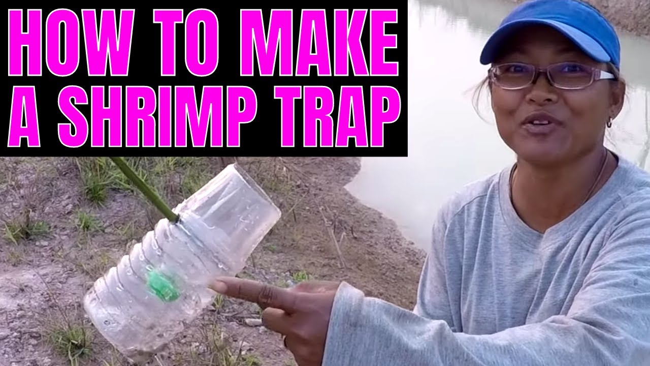 HOW TO Make A Simple SHRIMP TRAP For FREE