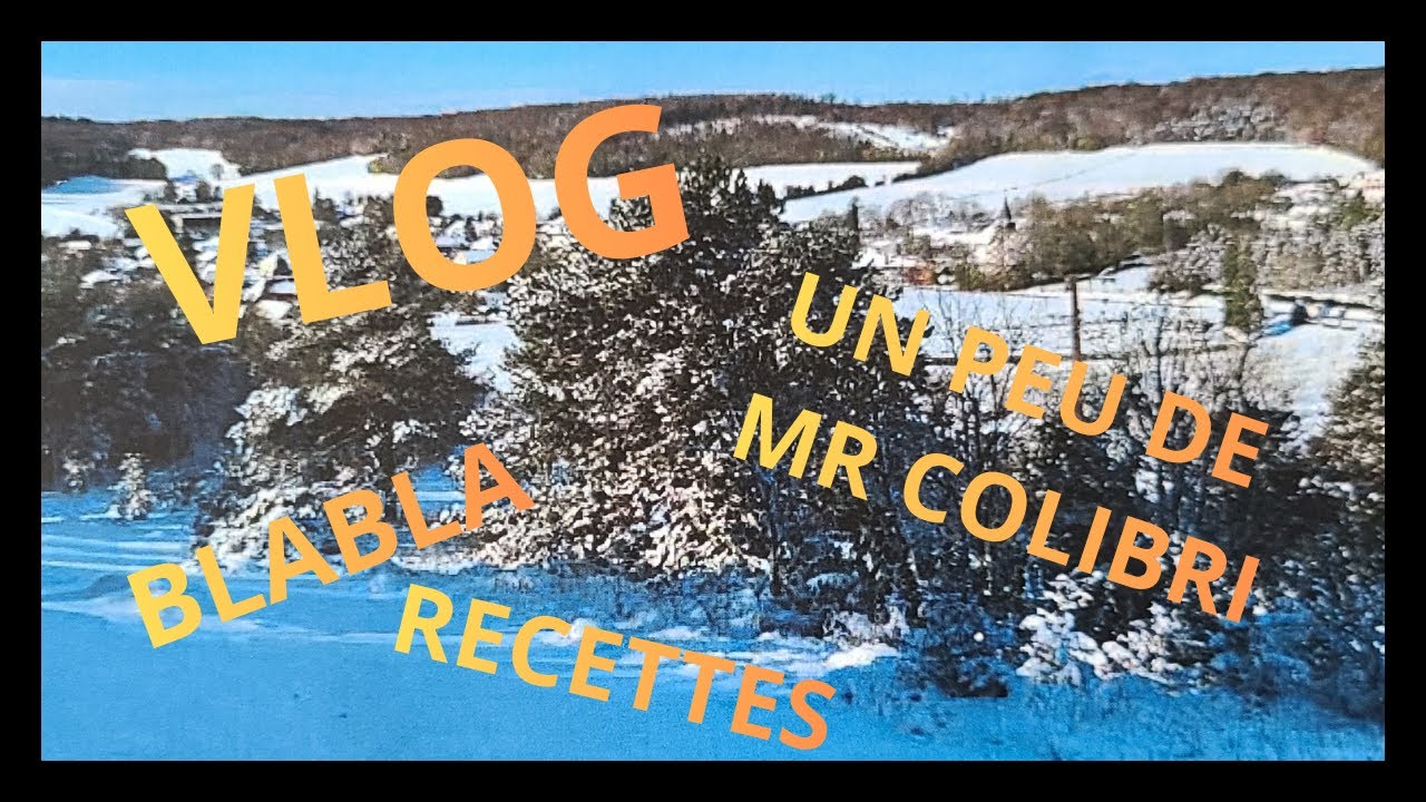 Quelques jours avec moi & blabla & un peu Mr Colibri, la vraie vie quoi ! #vlog #airfryer #detente