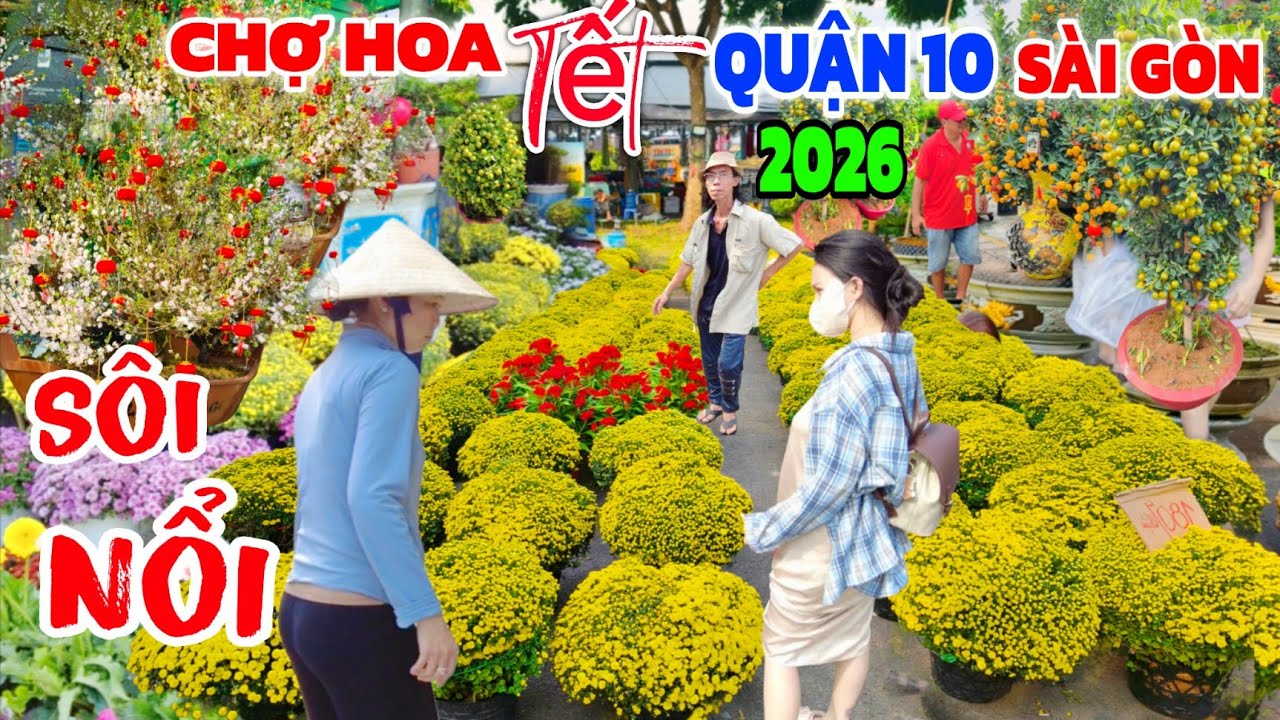 Sôi NỔI tấp Nập chợ hoa Tết Sài Gòn 2026/ MAI LẠ bùng Nổ