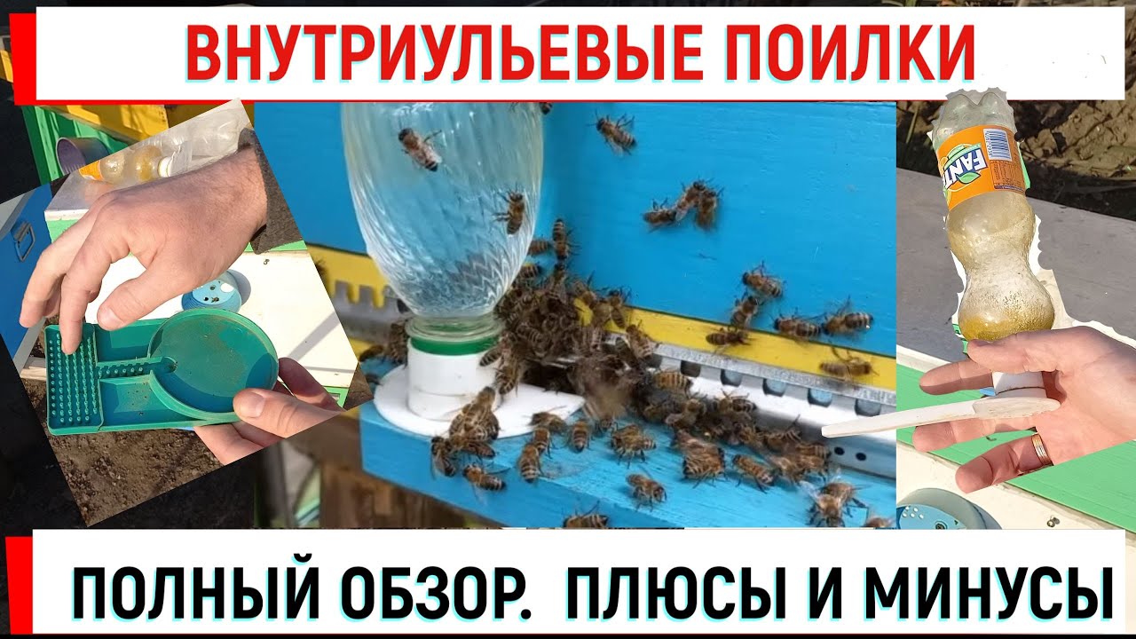 Внутриульевые поилки  Обзор  Плюсы и минусы