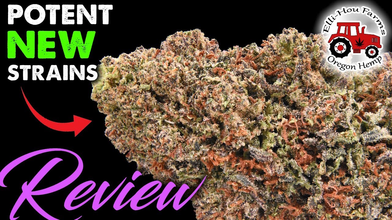 New Outdoor Strains from Elli Hou | CBD Hemp Flower Review