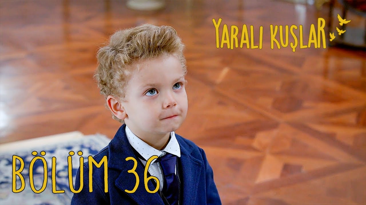Yaralı Kuşlar 36. B&ouml;l&uuml;m