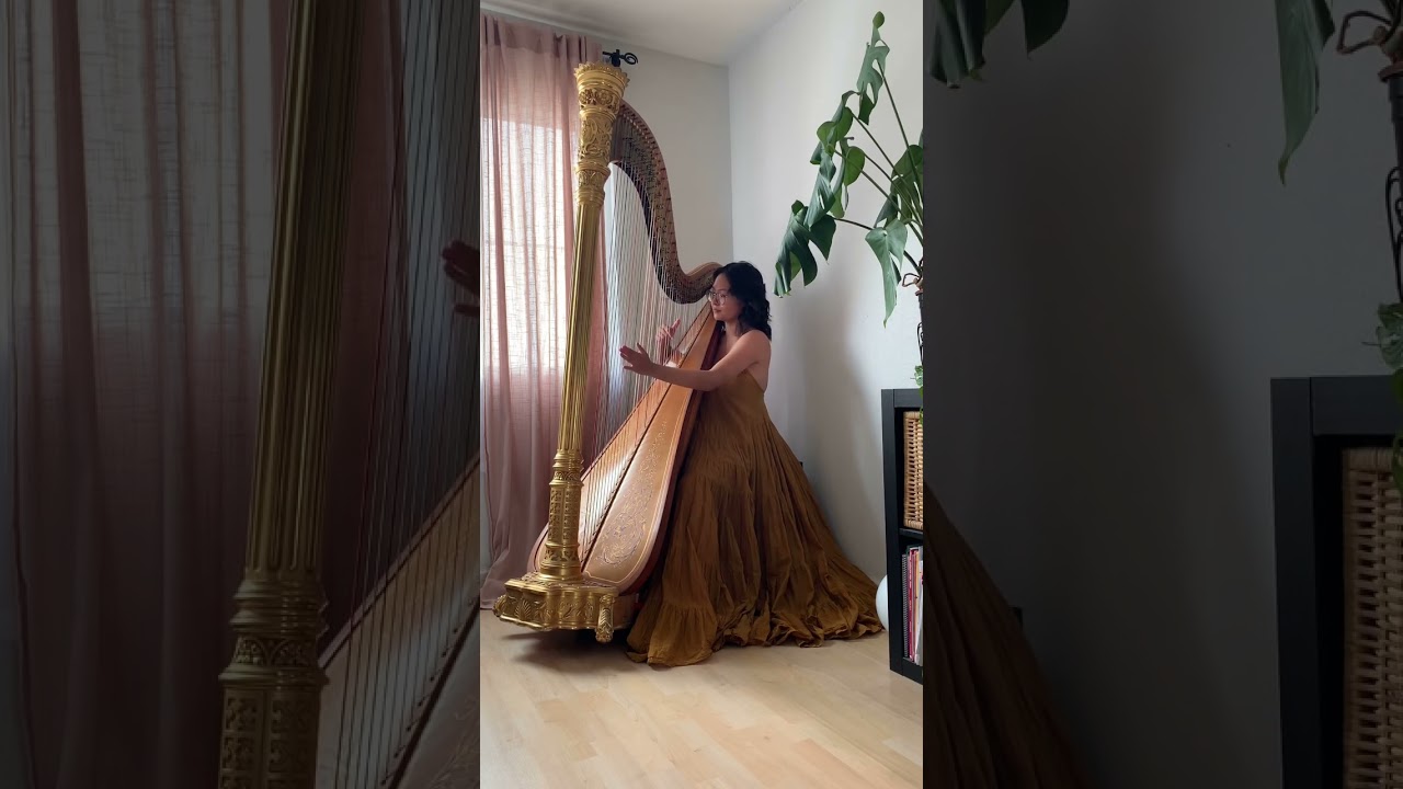 Howl&rsquo;s Moving Castle/Merry Go Round of Life (harp)- kim.harpist