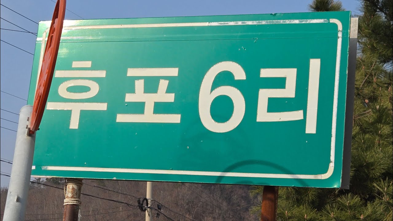 울진 후포항 낚시 실제 실황!