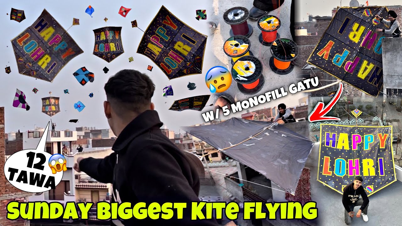 Sunday Biggest Kite Flying😱* 12 Tawa W/5 Monofill Gattu🥶PATANGBAZI IN AMRITSAR