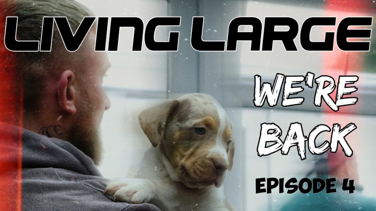 LIVING LARGE | EPISODE 4... We're back!