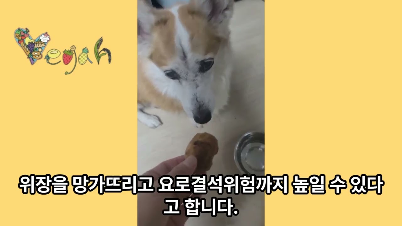 두통을 유발하는 음식은??