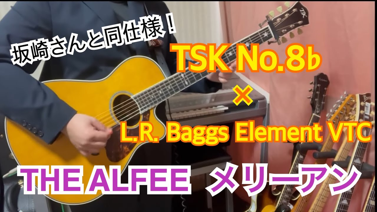【THE ALFEE】メリーアン 坂崎さんと同仕様のNo.8♭で弾いてみた