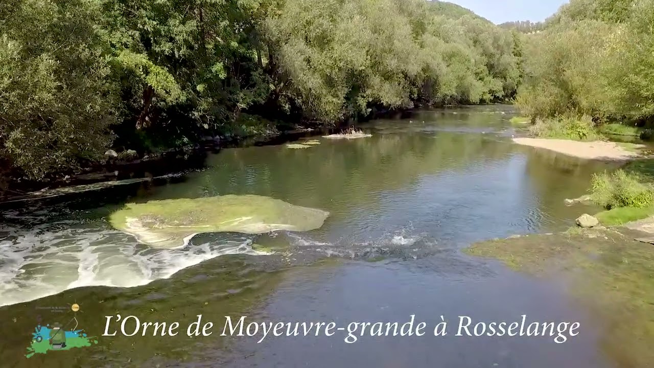 L'Orne de Moyeuvre à Rosselange