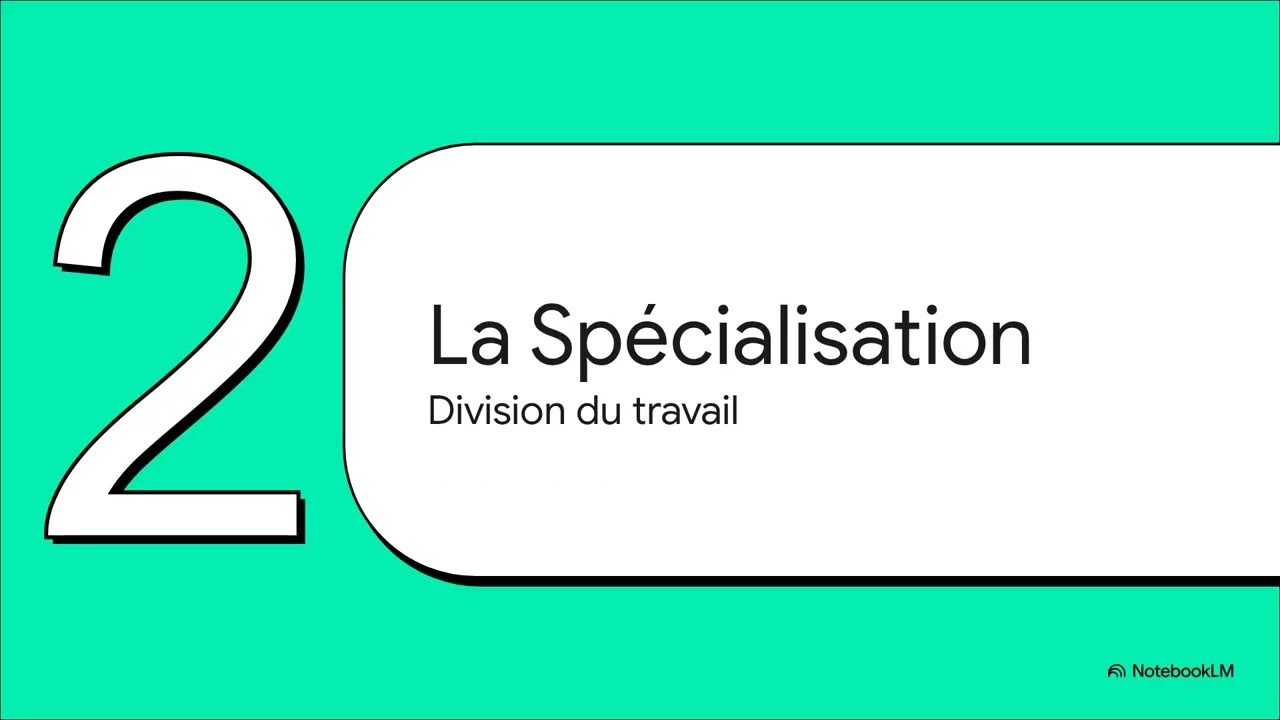 Organisation pluricellulaire (2nd SVT)