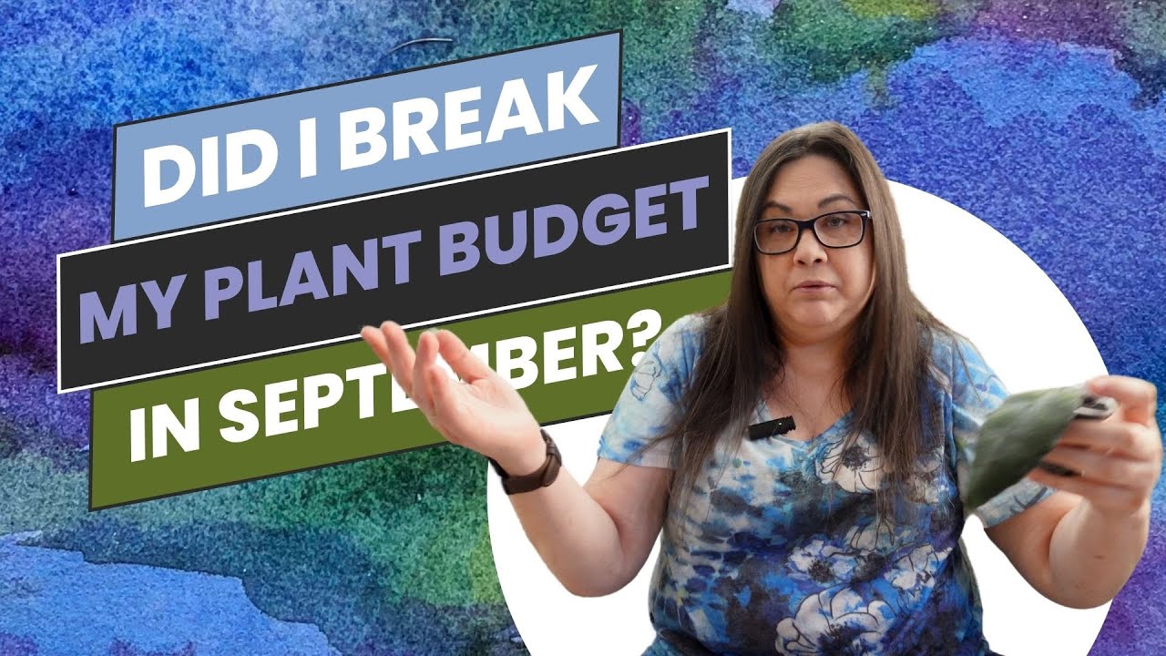 September Hoya Buys: You Won't Believe How Much I Spent ;)