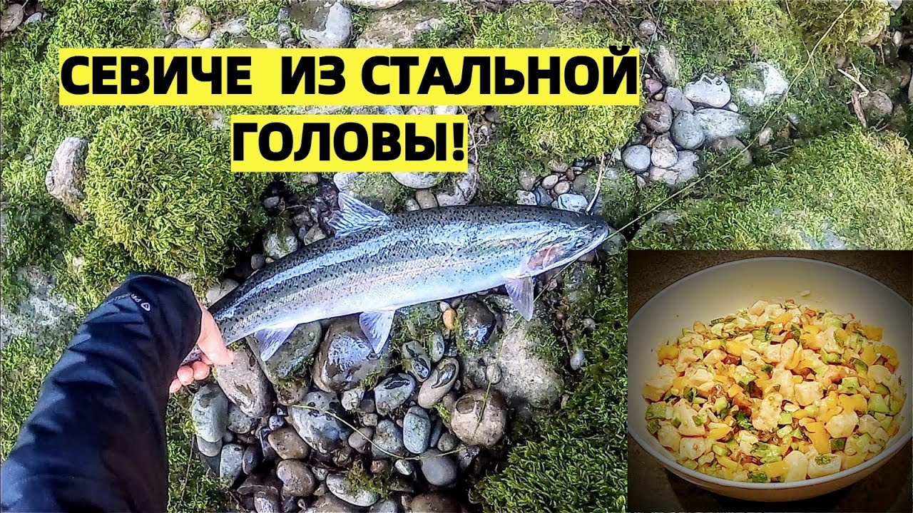СТАЛЬНАЯ ГОЛОВА. НАКОНЕЦ-ТО КИПЕР. КАК ДЕЛАТЬ СЕВИЧЕ ИЗ ЛОСОСЯ.