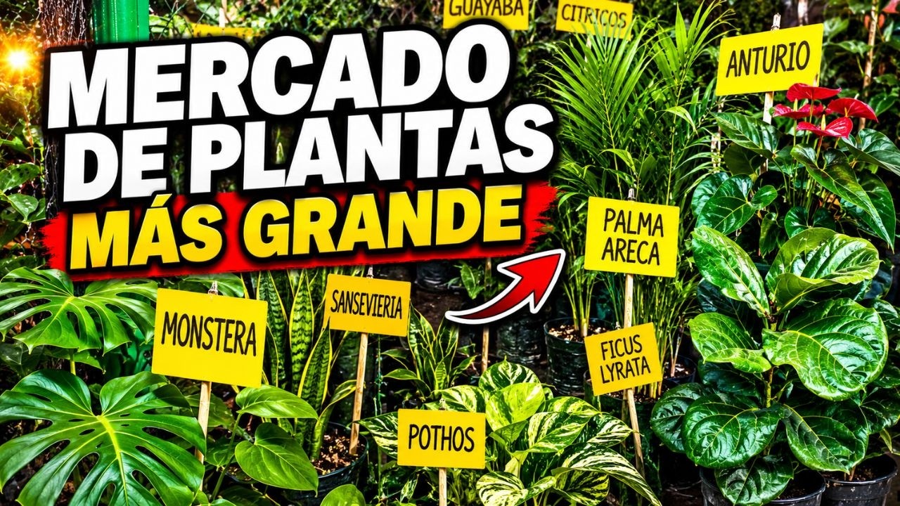Gran cantidad de plantas y flores en Lima