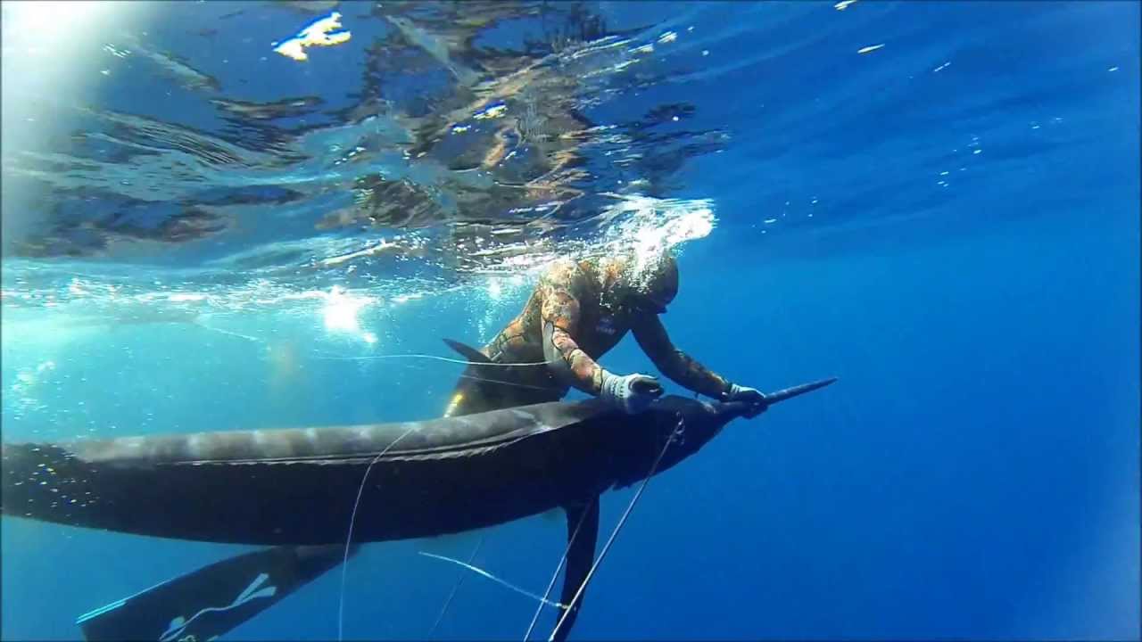 Cap-Vert chasse sous-marine Spearfishing Cabo Verde Blue Marlin Bluewater,
