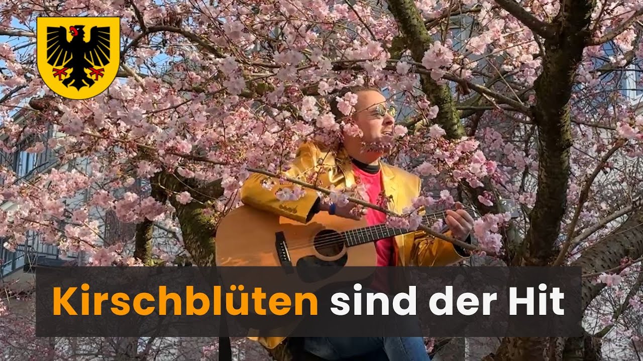 Kirschbl&uuml;ten im Kaiserviertel werden zum Hit!
