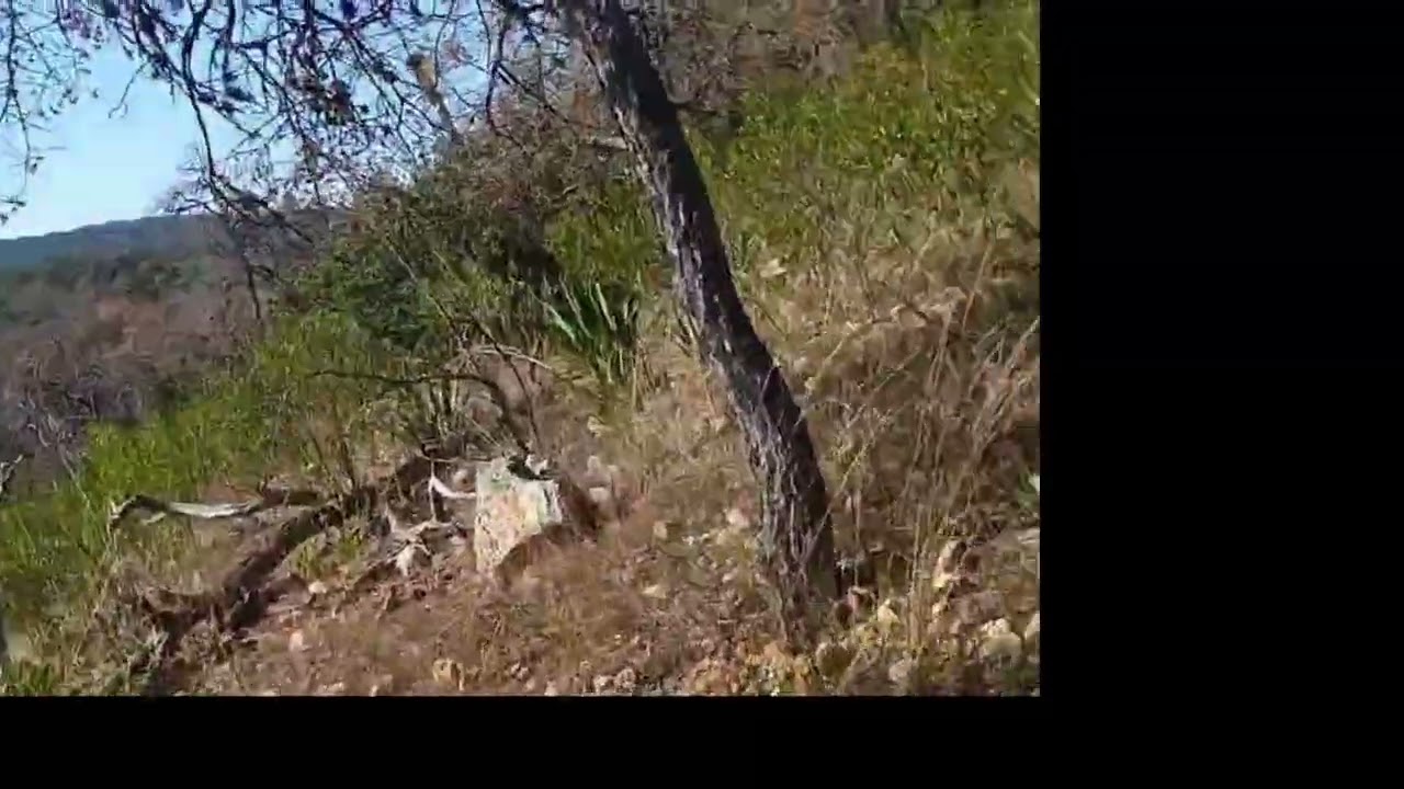 Cristian y tadeo mis sobrinos en 🇲🇽 mexico en la sierra paseando 