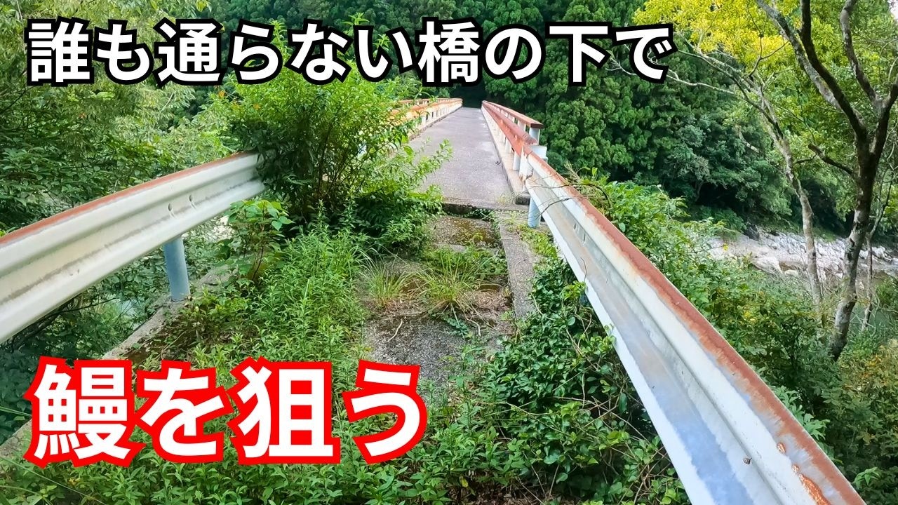 【秘境】使われなくなった橋の下でウナギの罠を仕掛けたら