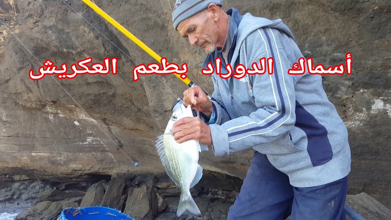 الدوراد زريقة أمول بطعم العكريش مع الرايس محند و عبدالله