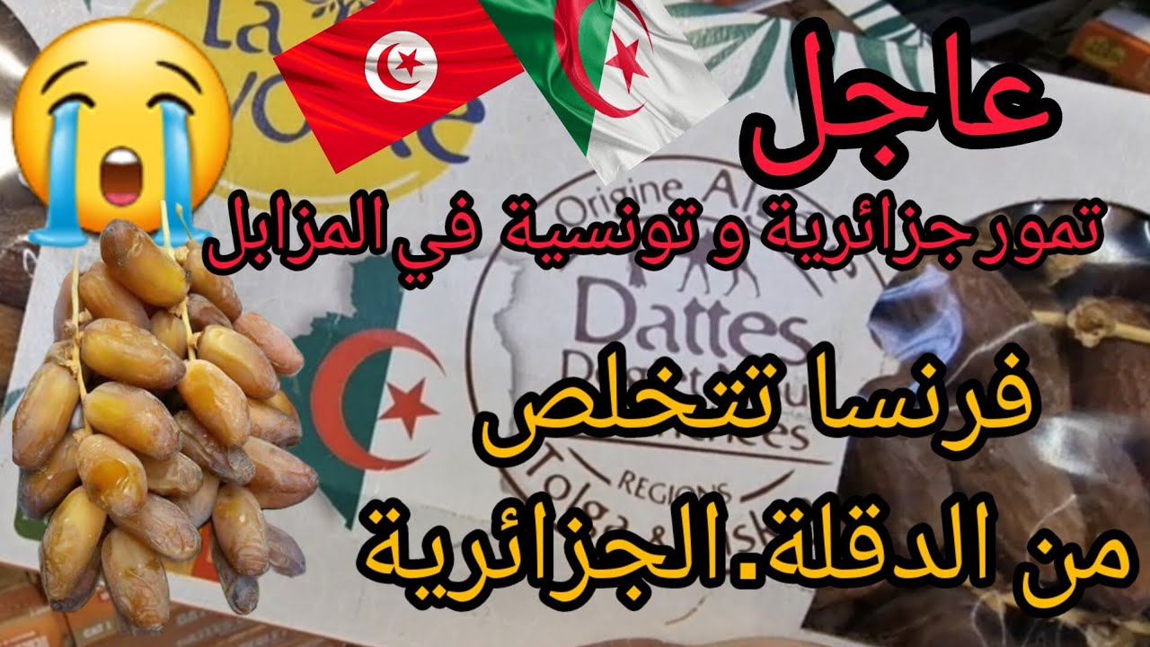 عاجل فرنسا ترمي الدقلة (التمور) الجزائرية في المزابل لكونها تحمل اشعاعات نووية  #دقلة_نور #رمضان