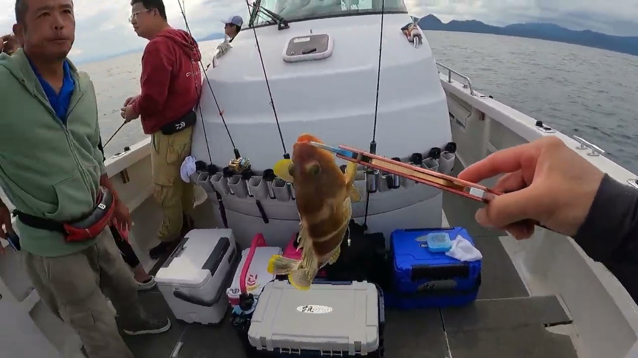 舞鶴沖のアマラバ