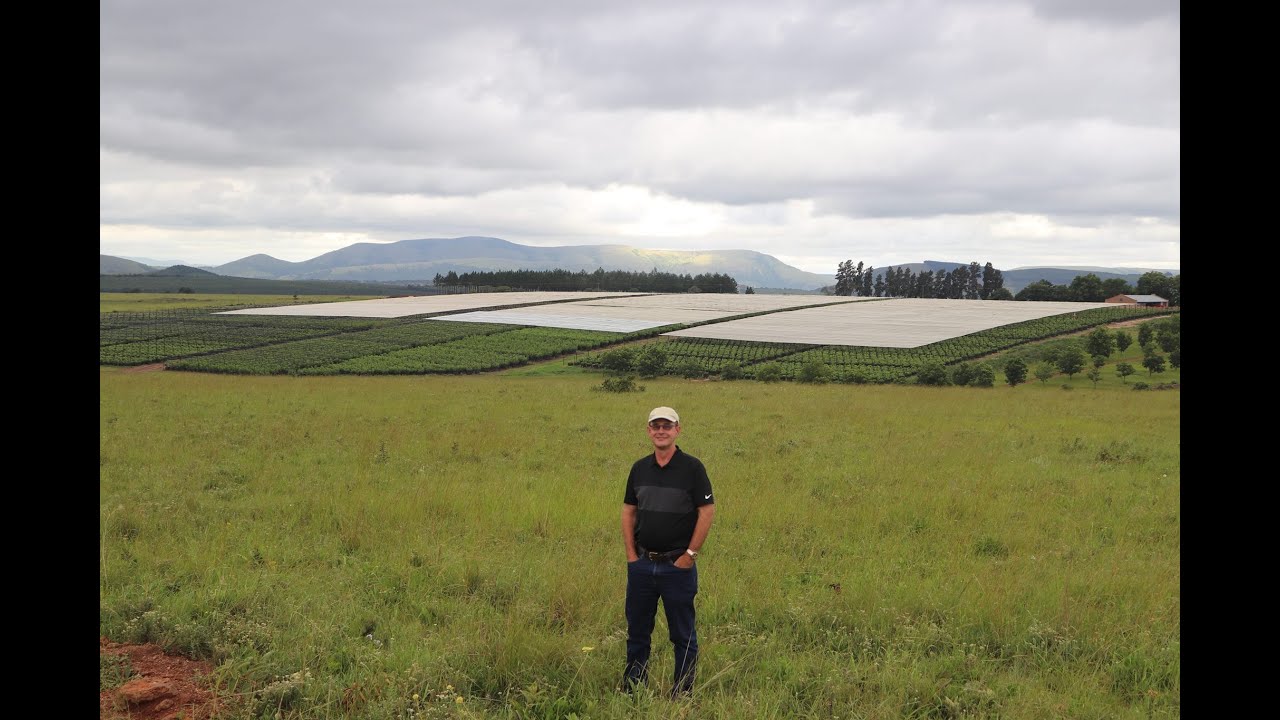 Heiko Meier and Pecan Pro Nursery: A Legacy in Pecan Farming