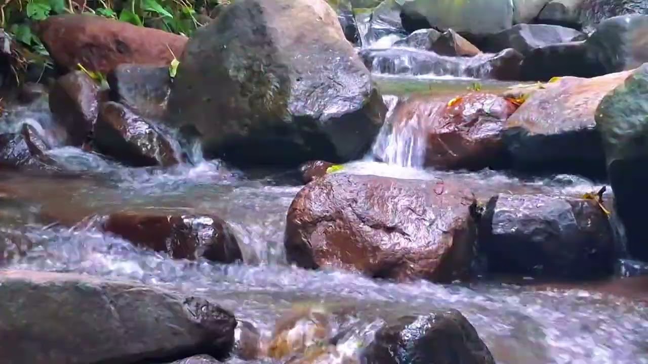 Gentle River Stream for Calm Nights