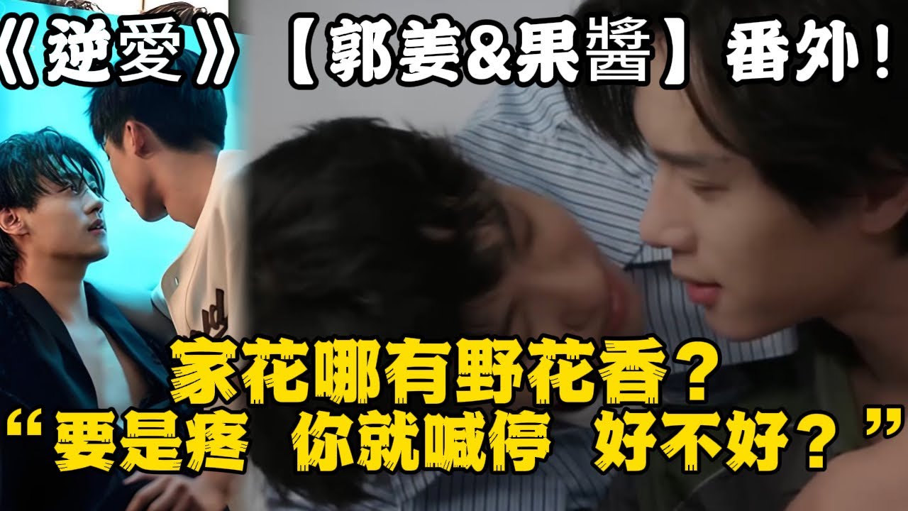 《逆愛》：【郭姜&果醬】番外！家花哪有野花香？“要是疼，你就喊停，好不好？”郭城宇再也忍不住，低頭吻住了姜小帥的嘴唇。#田栩宁 #梓渝 #吴所畏 #池骋 #逆爱 #revenged