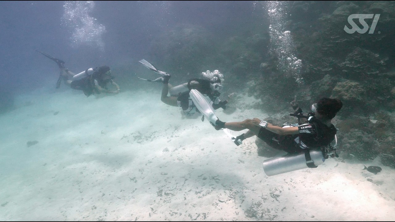 Dive Guide and Divemaster Program | Start Your Professional Diving Journey