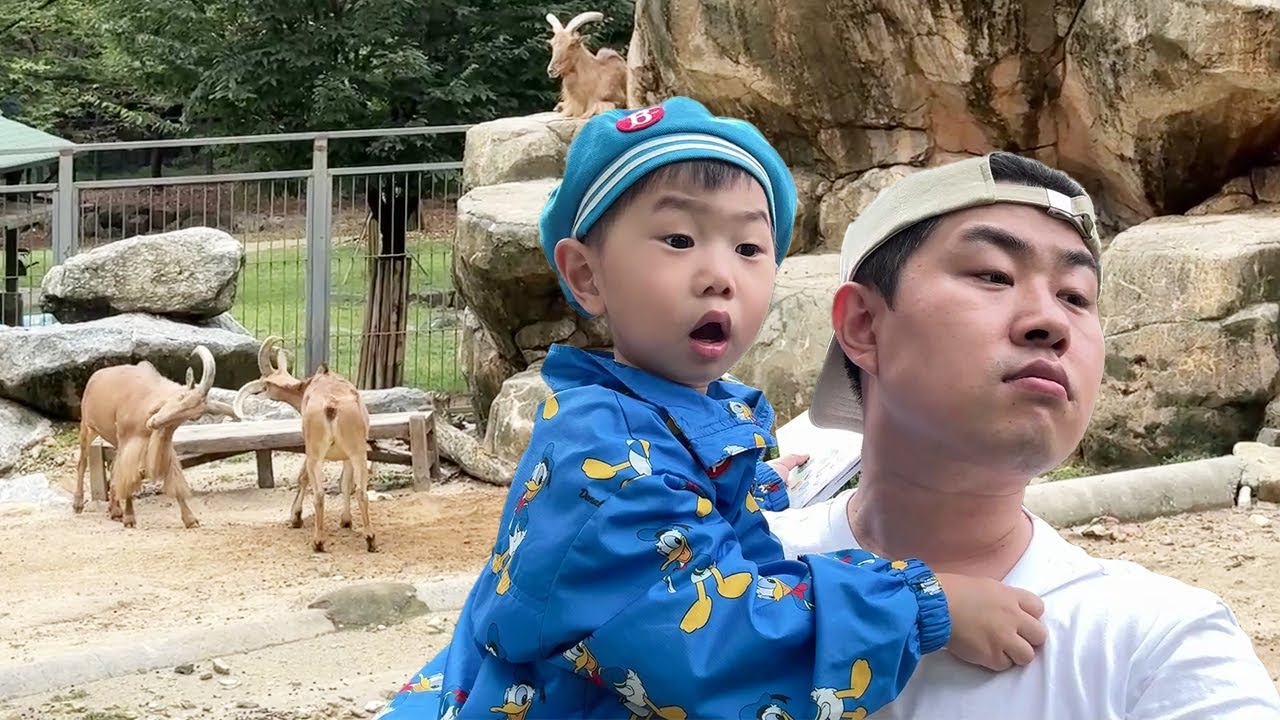 바바리양 싸움에 아기 한마디, 엄마 말려줘요!