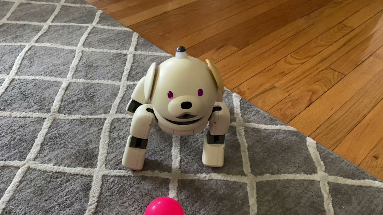 Sony AIBO ERS-311 on Kawaii