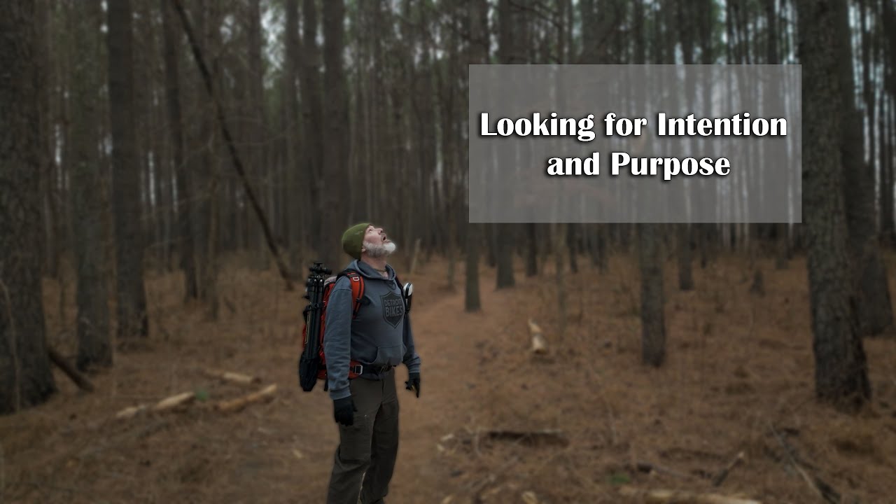Looking for Intent and Purpose