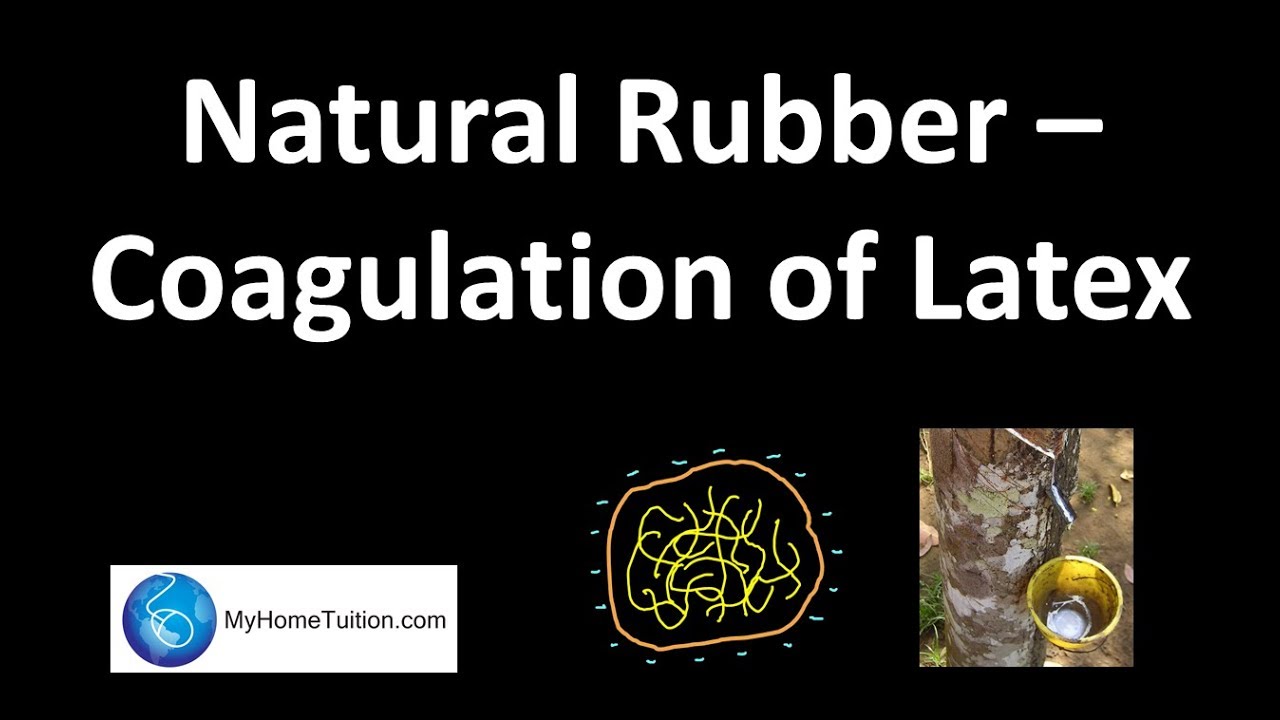 Natural Rubber - Coagulation of Latex | Polymer