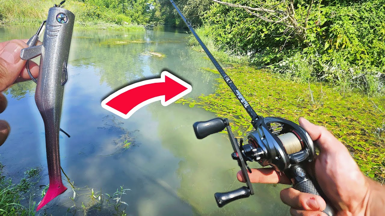 Cette petite rivière Bretonne cache de GROSSES SURPRISES !