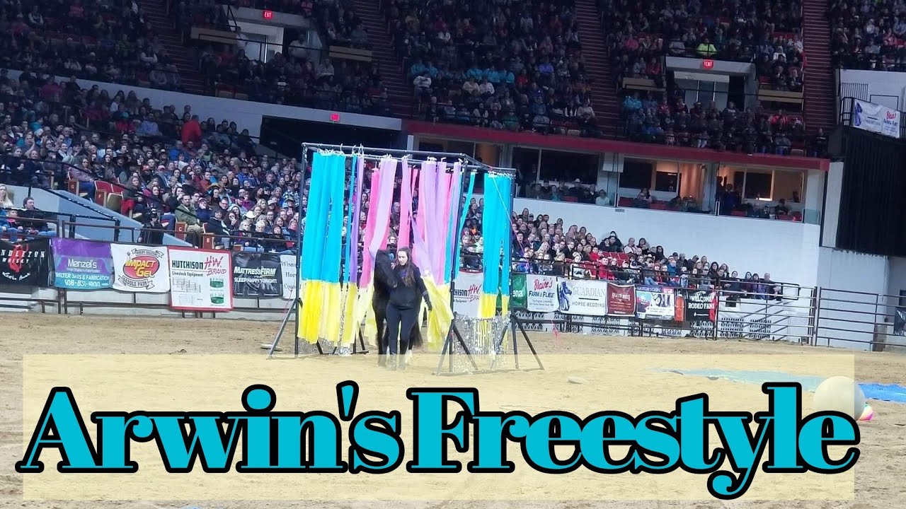 Arwin's Freestyle at Midwest fair Mustang Challenge