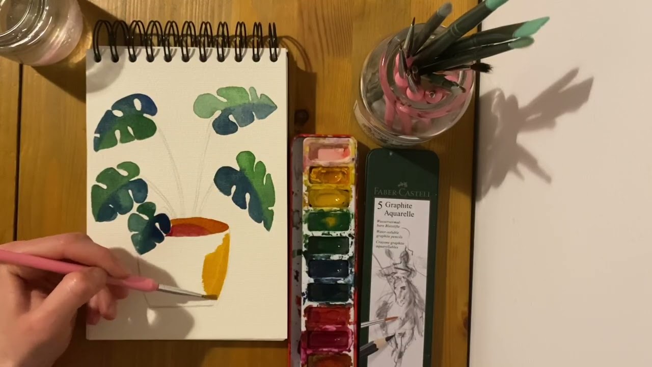 How to draw a Monstera plant
