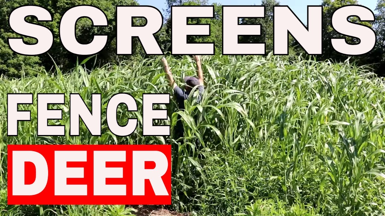 FENCING Deer Food Plots With Screens! *MOST COMMON*