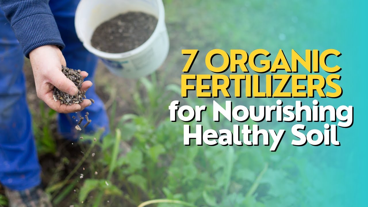 Top 7 Organic Fertilizers for Nourishing Healthy Soil