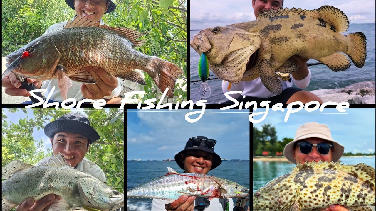 EP1: Shore Luring Singapore [Pulau Ubin Fishing & Southern Shorejigging]