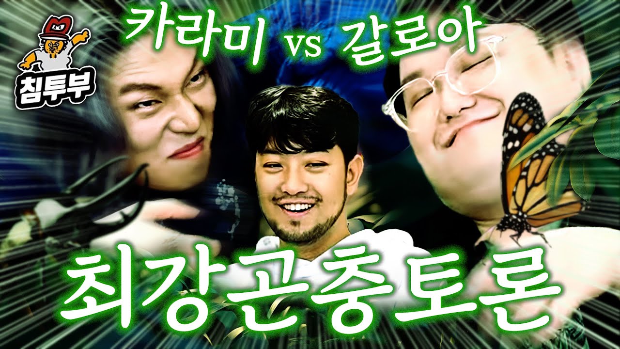 곤충 권위자들의 끝장 토론 대결