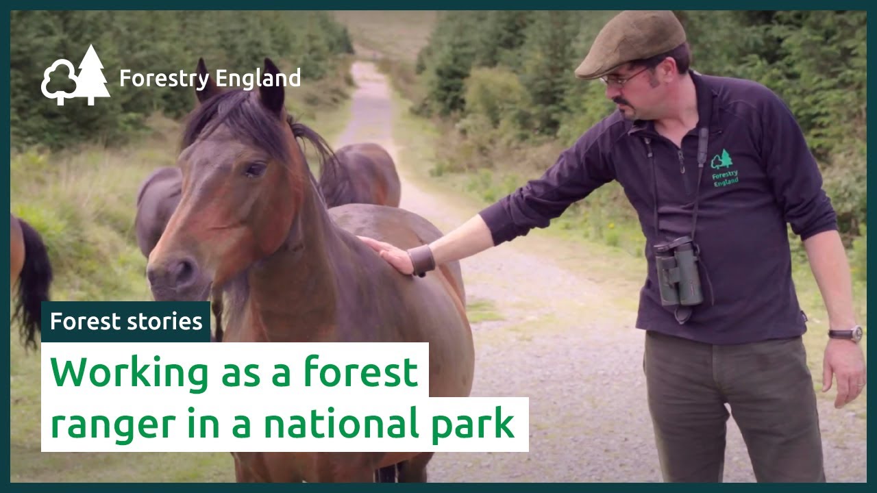 Working as a forest ranger in a national park