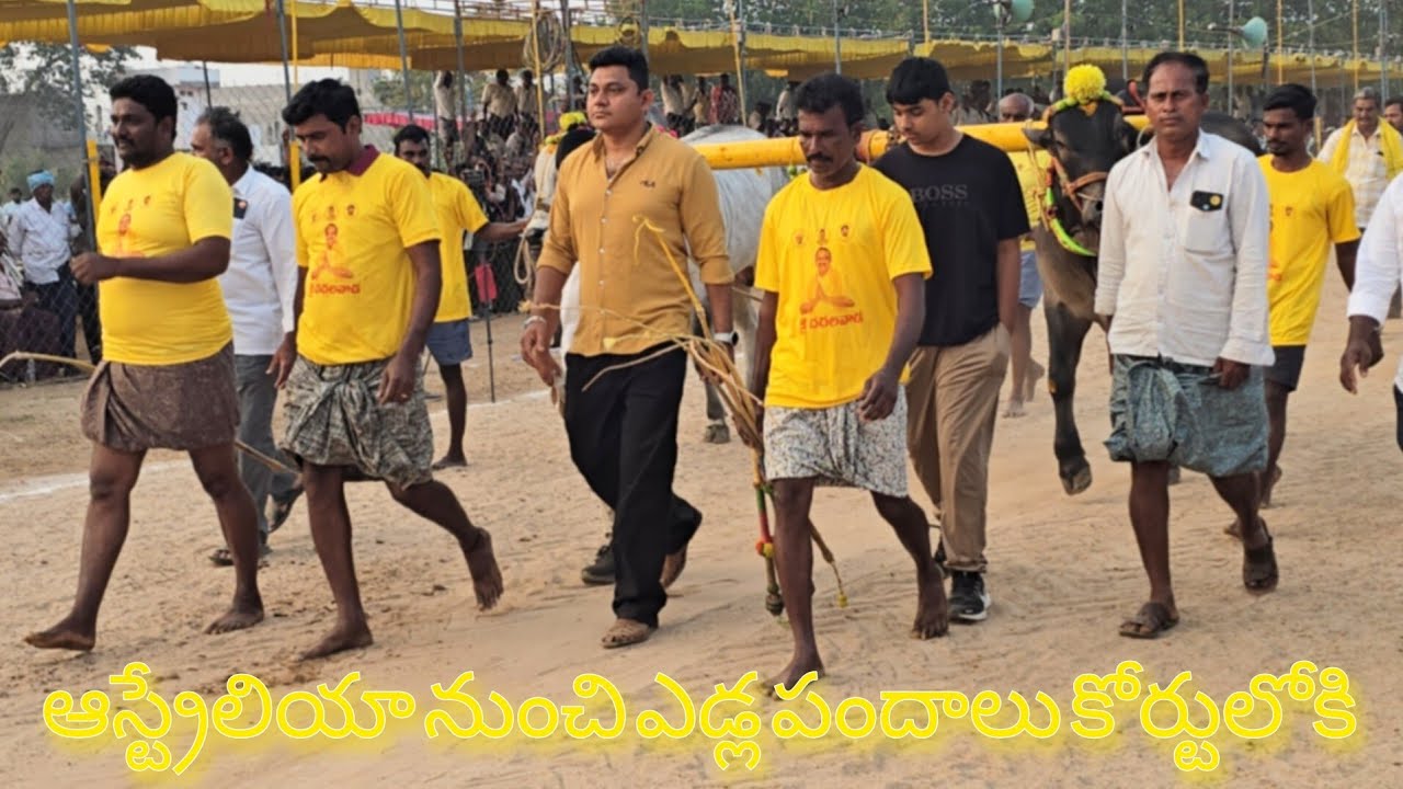 ఆస్ట్రేలియా నుంచి ఎడ్ల ప్రదర్శన కోర్టులోకి మొదటిసారిగా అడుగుపెట్టిన భాష గారు MKM Bulls అధినేత 